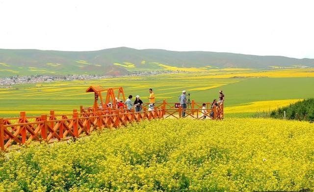 青島推動(dòng)文旅項(xiàng)目多領(lǐng)域、多業(yè)態(tài)、多層次發(fā)展
