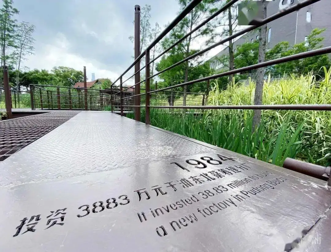 5.5公里楊浦濱江岸線(xiàn)，楊樹(shù)浦路變身“露天博物館”